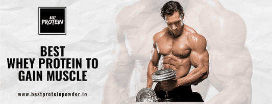 Best Whey Protein to Gain Muscle