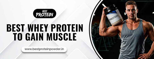 Best Whey Protein to Gain Muscle