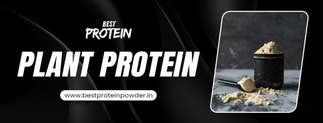 plant protein
