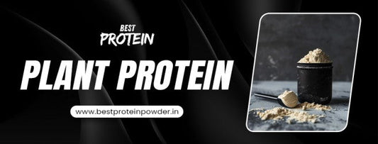 plant protein